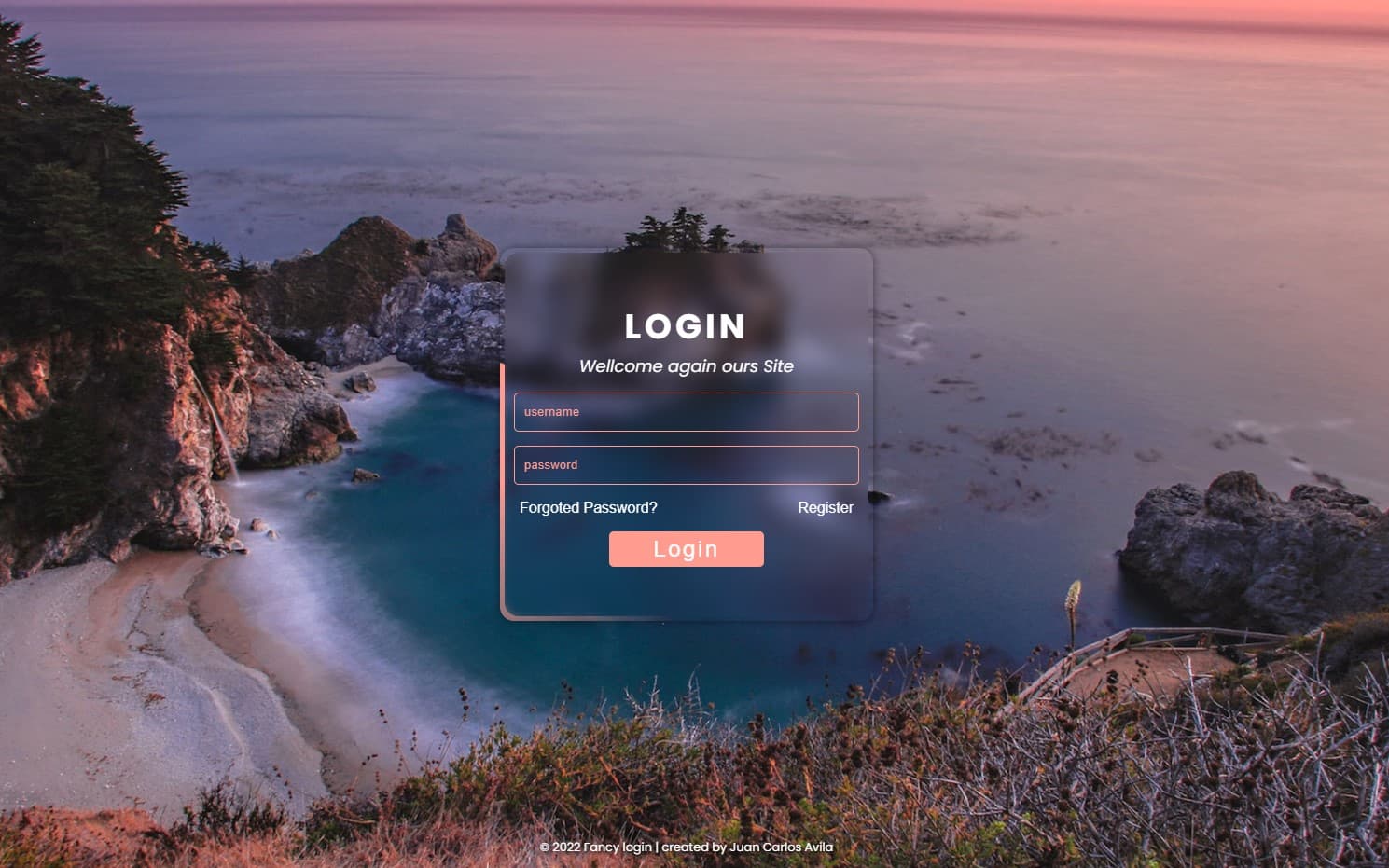 Fancy Login